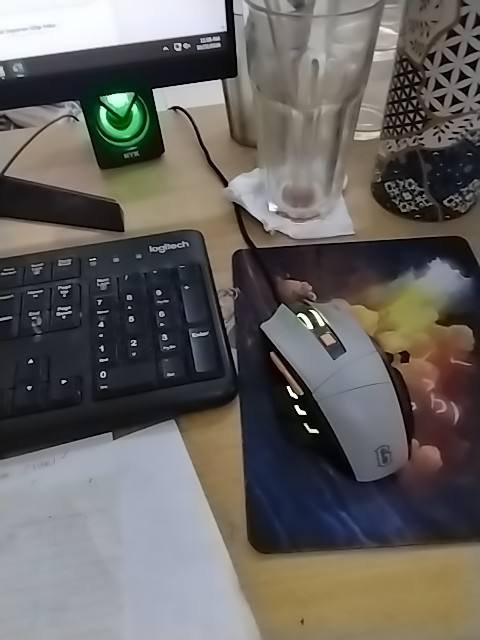 Foto bukti